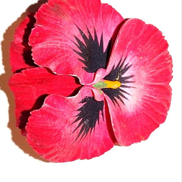 Jewelry - Brooch flower like new